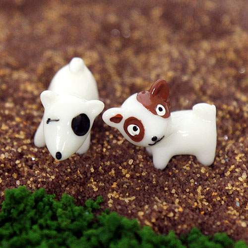 ��ǰ�̹���