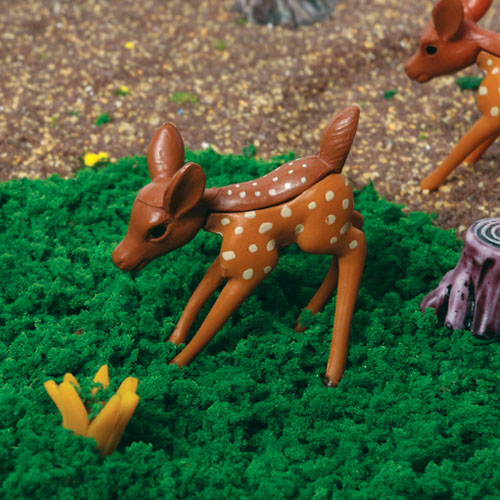 ��ǰ�̹���