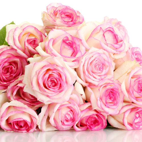 ��ǰ�̹���