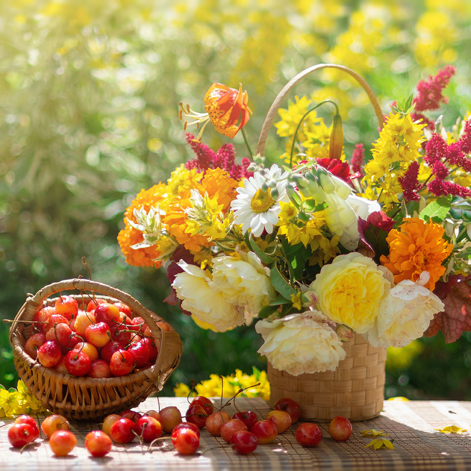 ��ǰ�̹���