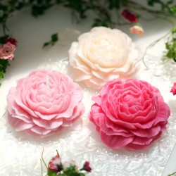 ��ǰ�̹���